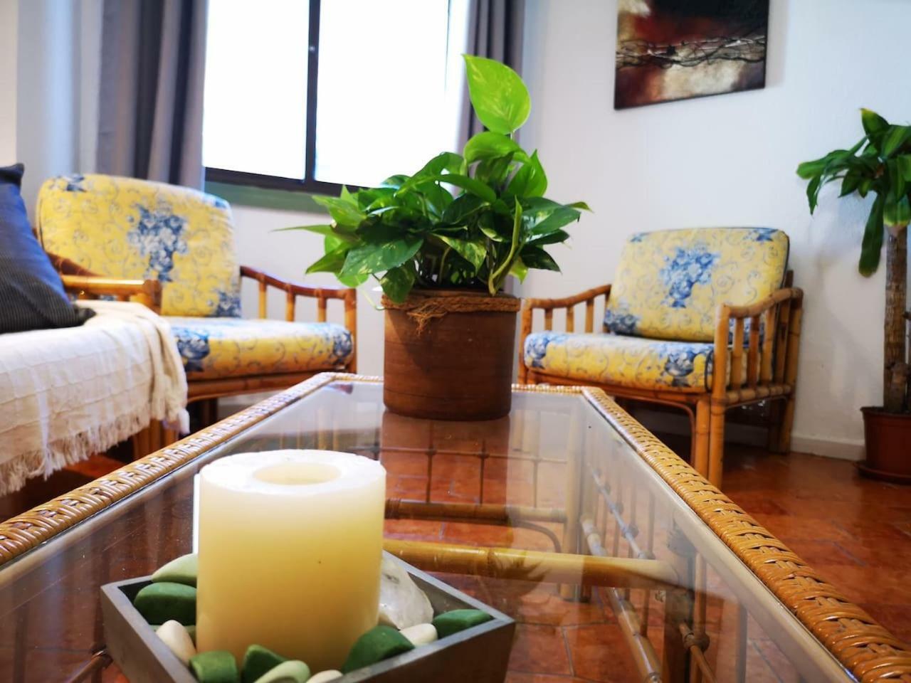 Apartamento Amplio Canary Style, 1 Playa Canteras ラスパルマス・デ・グランカナリア エクステリア 写真